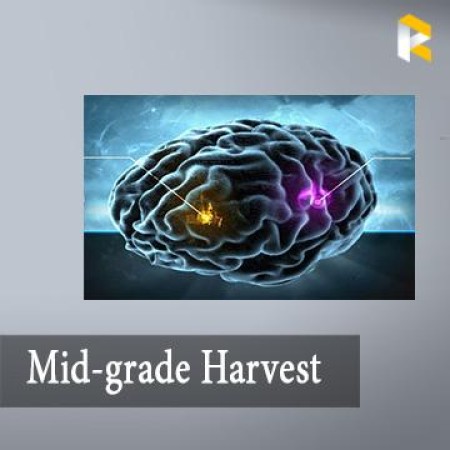 Mid-grade Harvest Eve