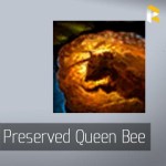 Preserved Queen Bee