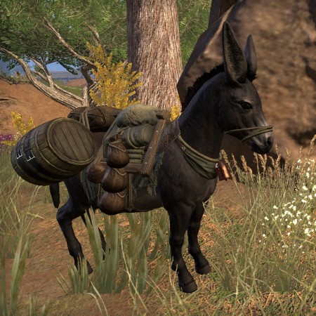 Explorer's Pack Donkey