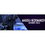 Magicka Necromancer Beginner 160CP Build