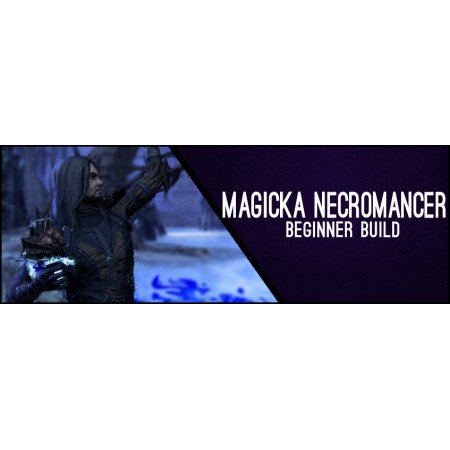 Magicka Necromancer Beginner 160CP Build