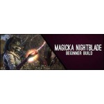 Magicka Nightblade Beginner 160CP Build