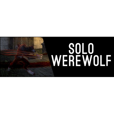 Solo Setup Werewolf Build