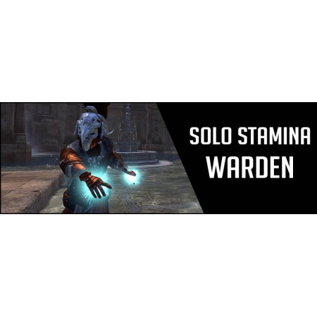 SOLO Stamina Warden