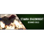 Stamina Dragonknight Beginner Build ChampPoints 160 PvE