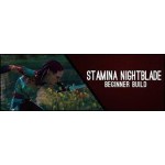 Stamina Nightblade Beginner 160CP Build