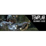 Stamina Templar Beginner 160CP Build