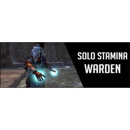 Stamina Warden Beginner 160CP Build