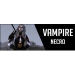 Vampire Build Necromancer